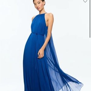 Alice and Olivia maxi dress